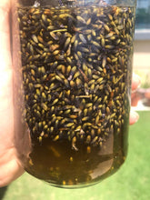 Load image into Gallery viewer, lavender infused facial oil